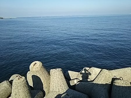 ツバス大きくなってます。